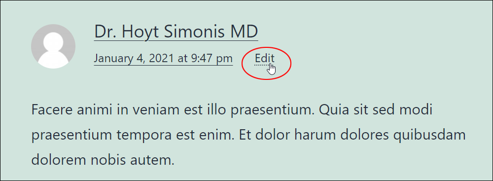 WordPress post comment - Edit link.