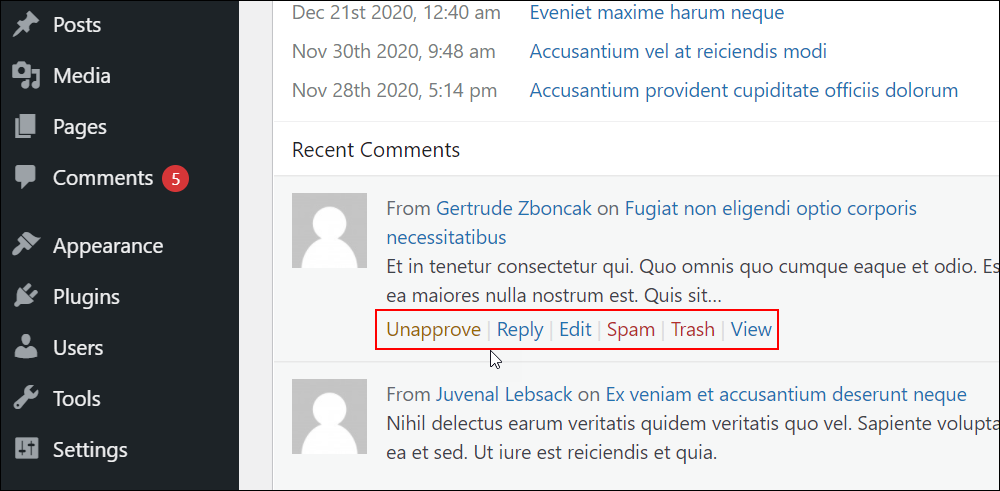 WordPress Dashboard - Recent Comments panel.