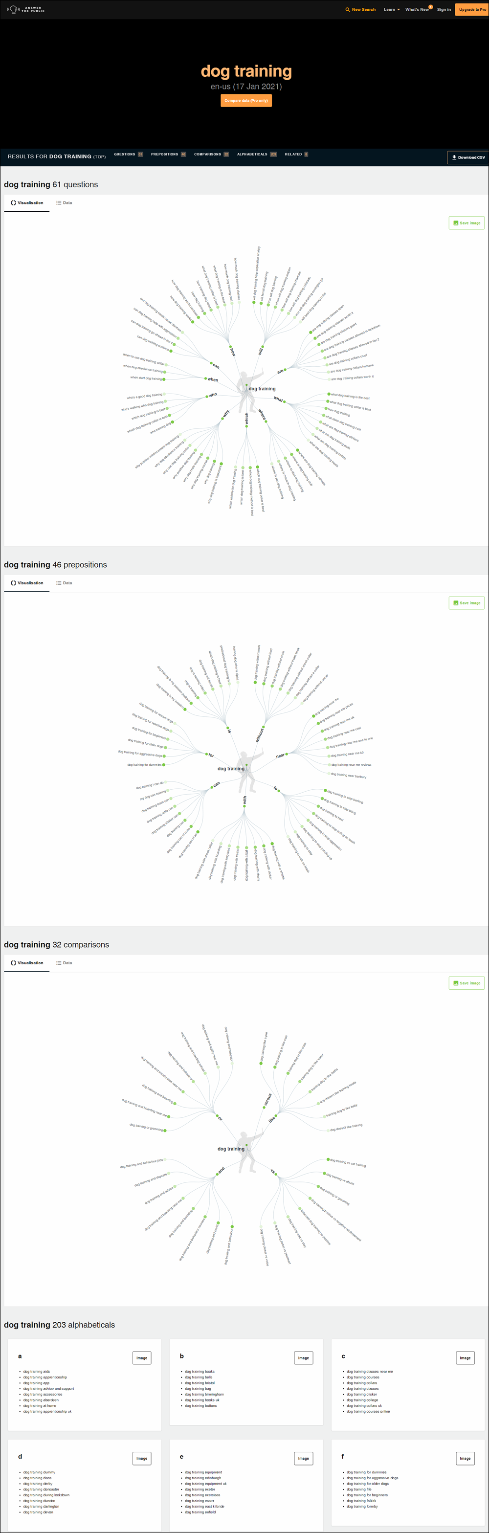 Answerthepublic.com report generated from search term.