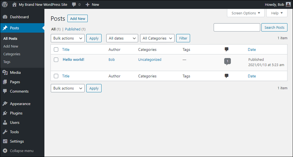 New WordPress site - Posts screen.