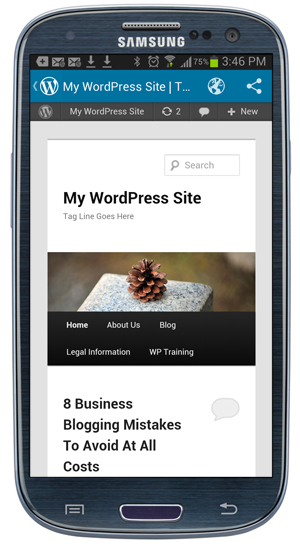 WordPress App -Preview site.