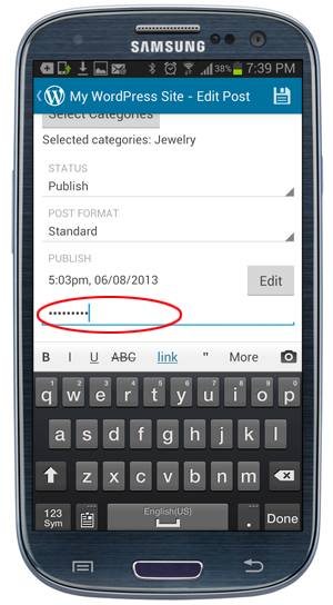 WordPress Mobile App - Password field.