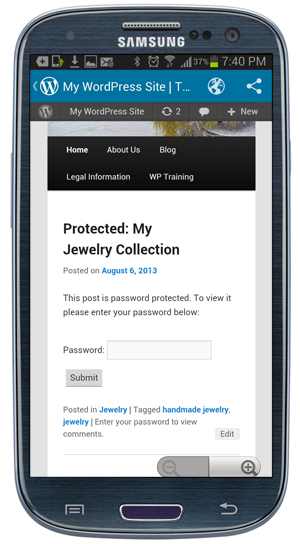 WordPress Mobile App - Password-Protected Post screen.