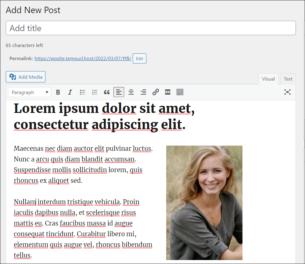 New Post screen - WordPress Classic Editor.