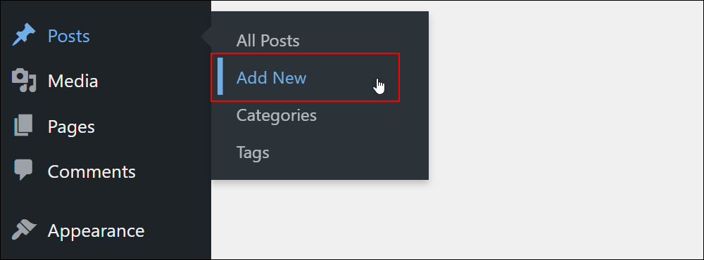 Posts - Add New menu.