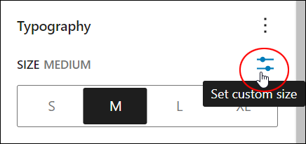 Block Settings: Typography - Font Size- Set custom size button.