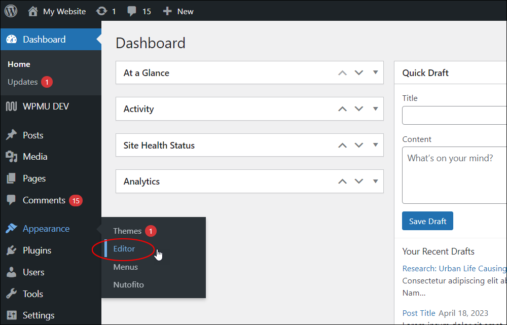 WordPress Dashboard Menu: Appearance - Editor