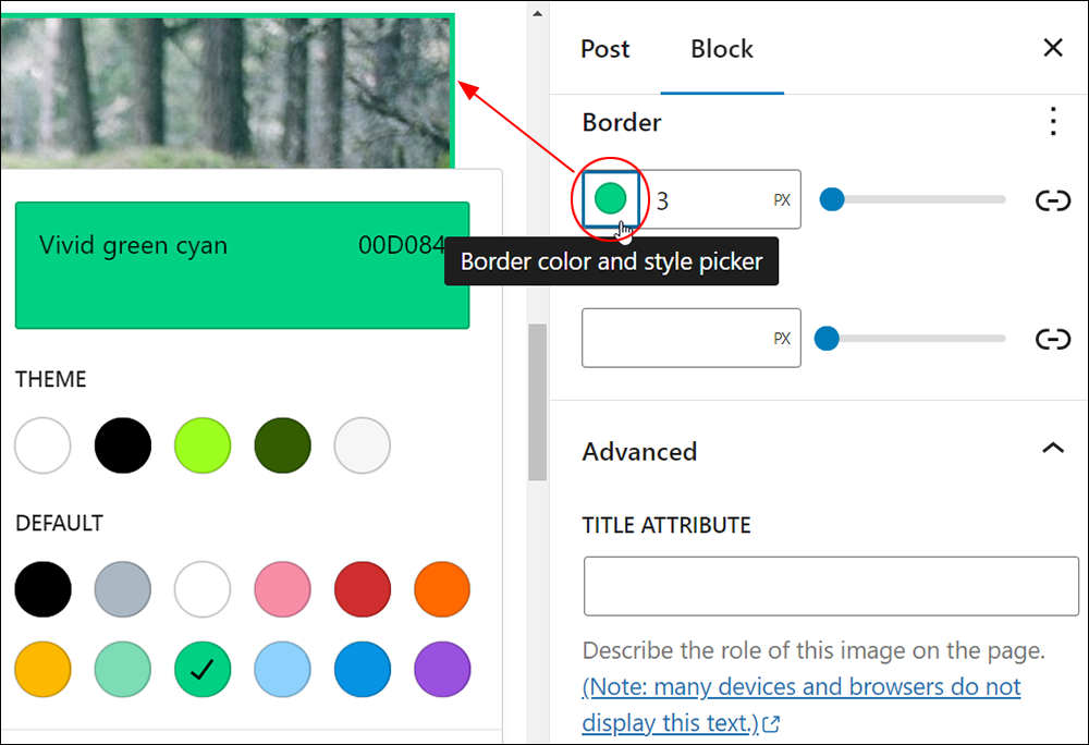 Block Settings: Border - Border color and style picker.