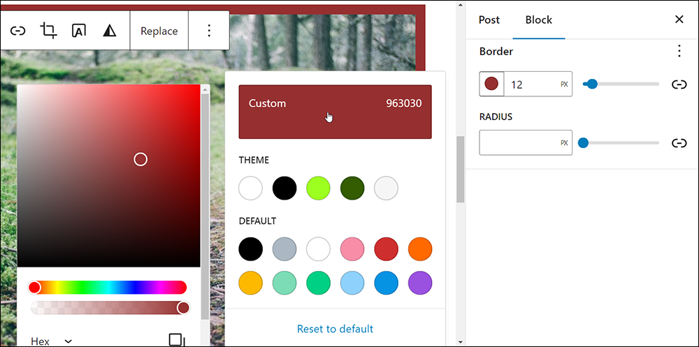 Block Settings: Border - Setting a custom color.