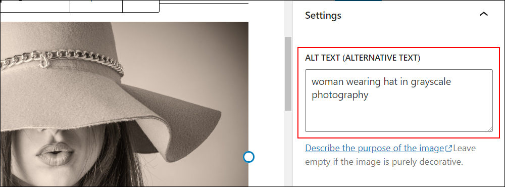 Image Settings: Alt Text (Alternative Text)