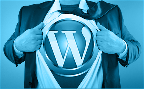 WordPress hero